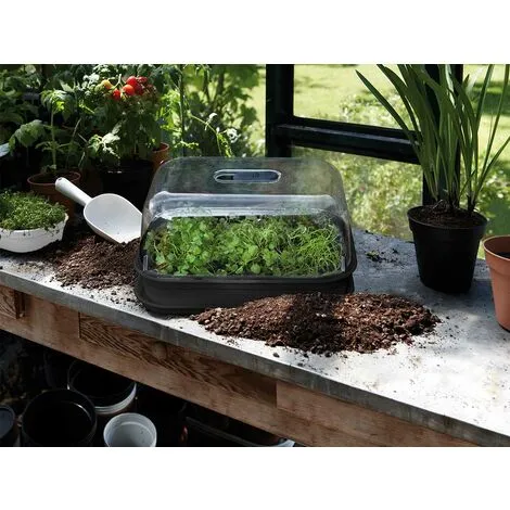 Serre De Culture Green Basics All In 1 - Noir - Elho - Noir 2 Serre De Culture Green Basics All In 1 - Noir - Elho - Noir – Image 2