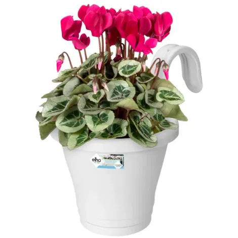 Balconnière Corsica Simple - Ø 19 X H.26 Cm - Blanc - Elho - Blanc 2 Balconnière Corsica Simple - Ø 19 X H.26 Cm - Blanc - Elho - Blanc – Image 2