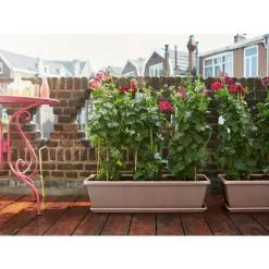 Jardinière Rectangulaire Barcelona XL - 60 Cm - Taupe - Elho - Taupe 6 Jardinière Rectangulaire Barcelona XL - 60 Cm - Taupe - Elho - Taupe -ELHO Soldes 59945294 3