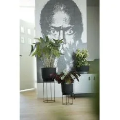 ELHO B.for Studio Coupe 30 Living Noir -ELHO Soldes 60106878 3