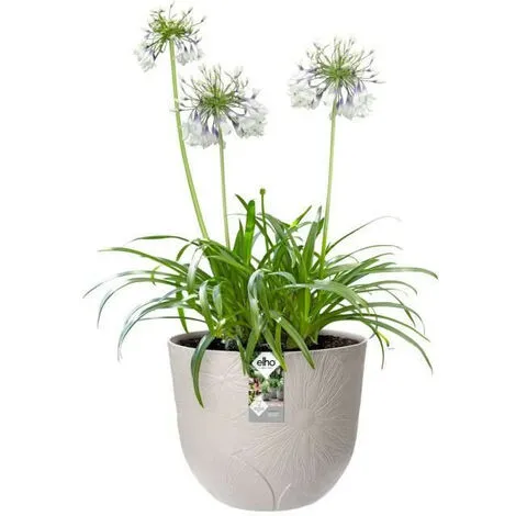 ELHO Fuente Lily Rond 30 Gris Granité 2 ELHO Fuente Lily Rond 30 Gris Granité – Image 2