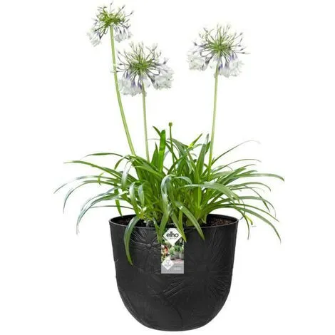 ELHO Fuente Lily Rond 38 Onyx Noir 2 ELHO Fuente Lily Rond 38 Onyx Noir – Image 2