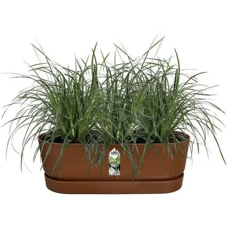 ELHO - Pot De Fleurs - Greenville Easy Balcony 52 - Marron Glacé - Balcon - L 21.2 X W 52 X H 19.4 Cm 4 ELHO - Pot De Fleurs - Greenville Easy Balcony 52 - Marron Glacé - Balcon - L 21.2 X W 52 X H 19.4 Cm – Image 4