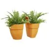 ELHO - Pot De Fleurs - Vibia Campana Flower Twin 21 - Jaune Miel - Balcon Extérieur - L 38.4 X W 20.5 X H 26.5 Cm