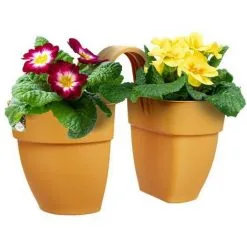 ELHO - Pot De Fleurs - Vibia Campana Flower Twin 21 - Jaune Miel - Balcon Extérieur - L 38.4 X W 20.5 X H 26.5 Cm -ELHO Soldes 60108265 4