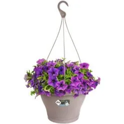 Suspension Elho Corsica Ø30cm Taupe -ELHO Soldes 60850464 5