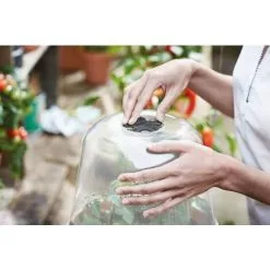 Bac De Culture Elho Green Basics Rond 30cm Transparent -ELHO Soldes 61077255 4