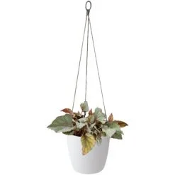 Suspension Elho Brussels Ø22cm Blanc -ELHO Soldes 64170866 5