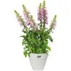 ELHO Bac à Fleurs Rond Ou Carré Jardinière Blanc En Plastique Pour Extérieur Jardin Terrasse Pot De Fleurs Rund/7 Liter (de)