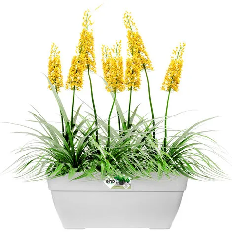 ELHO Bac à Fleurs Rond Ou Carré Jardinière Blanc En Plastique Pour Extérieur Jardin Terrasse Pot De Fleurs Rechteckig/63 Liter (de) 1 ELHO Bac à Fleurs Rond Ou Carré Jardinière Blanc En Plastique Pour Extérieur Jardin Terrasse Pot De Fleurs Rechteckig/63 Liter (de)