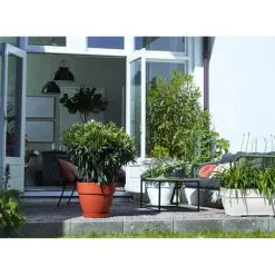 ELHO Bac à Fleurs Rond Ou Carré Jardinière Blanc En Plastique Pour Extérieur Jardin Terrasse Pot De Fleurs Rechteckig/63 Liter (de) 7 ELHO Bac à Fleurs Rond Ou Carré Jardinière Blanc En Plastique Pour Extérieur Jardin Terrasse Pot De Fleurs Rechteckig/63 Liter (de) -ELHO Soldes 67451875 3