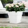 ELHO Bac à Fleurs Rond Ou Carré Jardinière Blanc En Plastique Pour Extérieur Jardin Terrasse Pot De Fleurs Eckig/15 Liter (de)