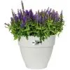 ELHO Bac à Fleurs Rond Ou Carré Jardinière Blanc En Plastique Pour Extérieur Jardin Terrasse Pot De Fleurs Rund/46 Liter (de)