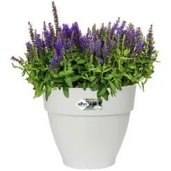 ELHO Bac à Fleurs Rond Ou Carré Jardinière Blanc En Plastique Pour Extérieur Jardin Terrasse Pot De Fleurs Rund/46 Liter (de)