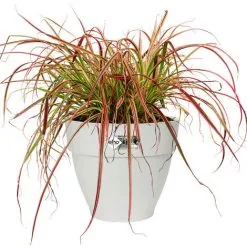 ELHO Bac à Fleurs Rond Ou Carré Jardinière Blanc En Plastique Pour Extérieur Jardin Terrasse Pot De Fleurs Rund/41 Liter (de)