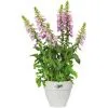 ELHO Bac à Fleurs Rond Ou Carré Jardinière Blanc En Plastique Pour Extérieur Jardin Terrasse Pot De Fleurs Rund/3,2 Liter (de)