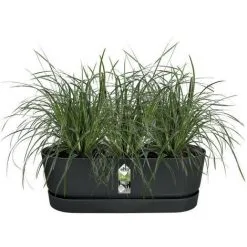 ELHO - Pot De Fleurs - Greenville Easy Balcony 52 - Living Noir - Balcon - L 21.2 X W 52 X H 19.4 Cm -ELHO Soldes 71108624 3