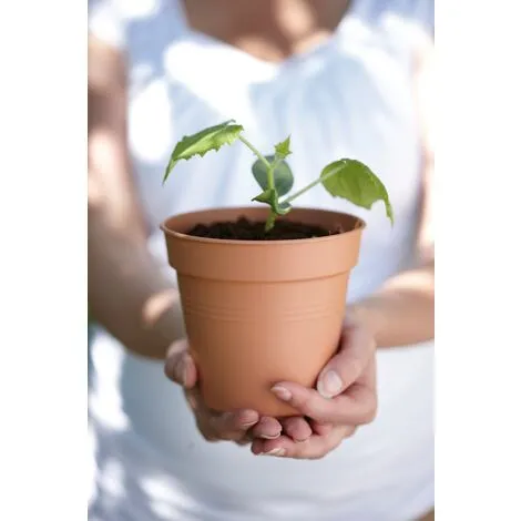 Pot De Culture Elho Green Basics Ø17cm Terre Cuite Doux 5 Pot De Culture Elho Green Basics Ø17cm Terre Cuite Doux – Image 5