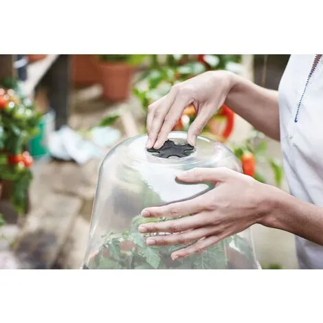 Bac De Culture Elho Green Basics Rond 17cm Transparent 4 Bac De Culture Elho Green Basics Rond 17cm Transparent – Image 4