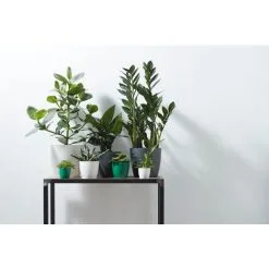 Pot De Fleurs Elho Brussels Rond Mini Ø9,5cm Anthracite -ELHO Soldes 73827350 4